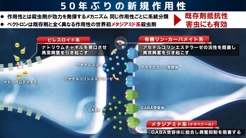 ベクトロンSP作用説明